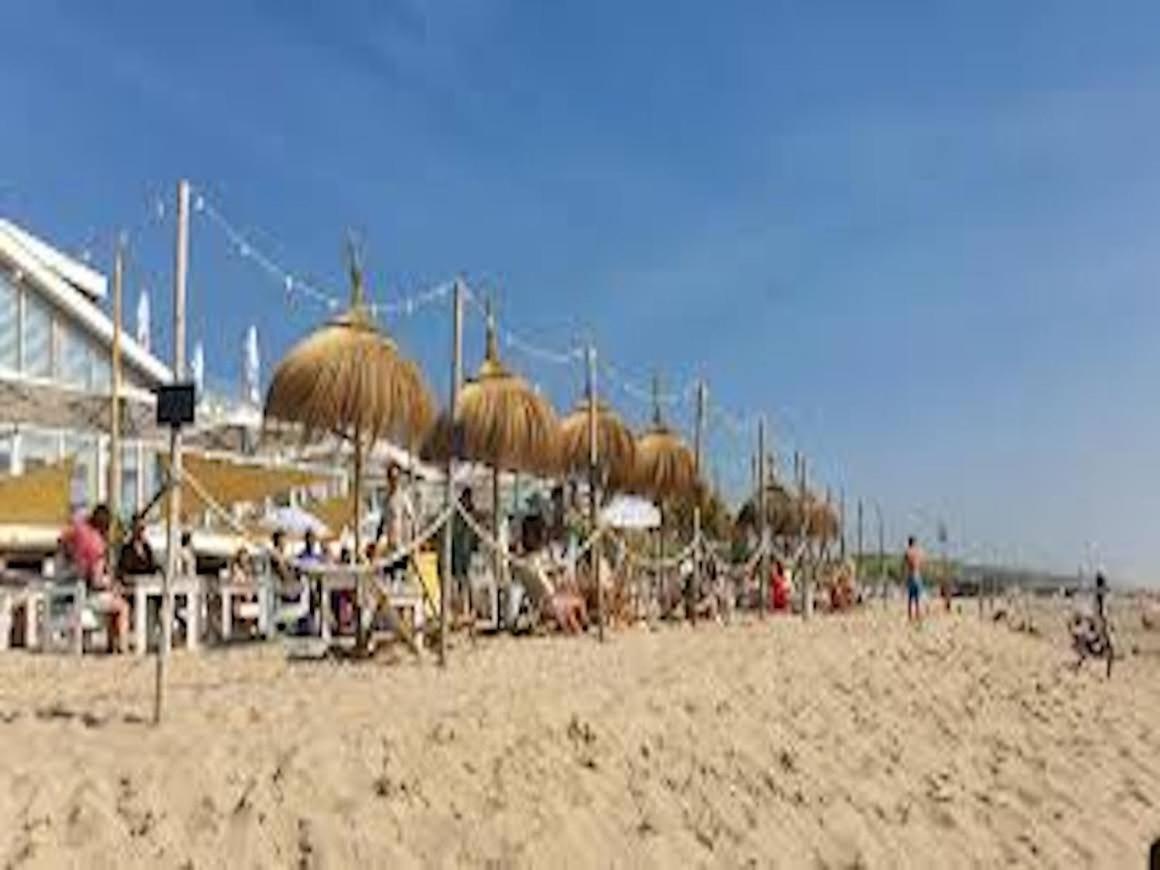 Apartment Aan Zee Op 150 Meter Egmond aan Zee