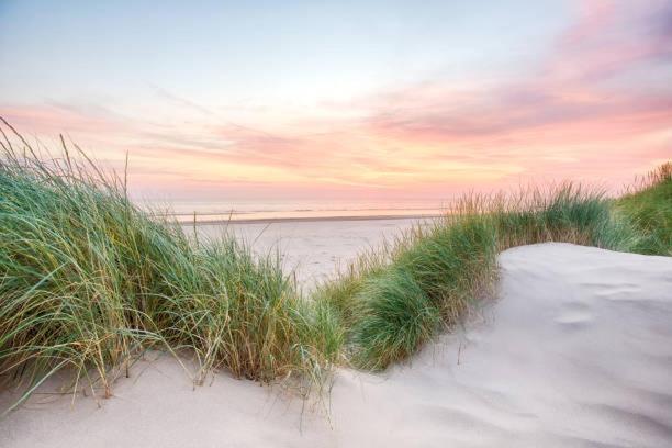 Aan Zee Op 150 Meter Apartment